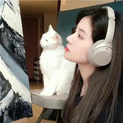 惹不起的殿下大人
