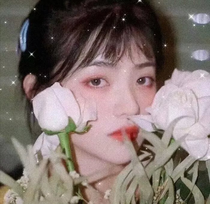 妈咪方程式